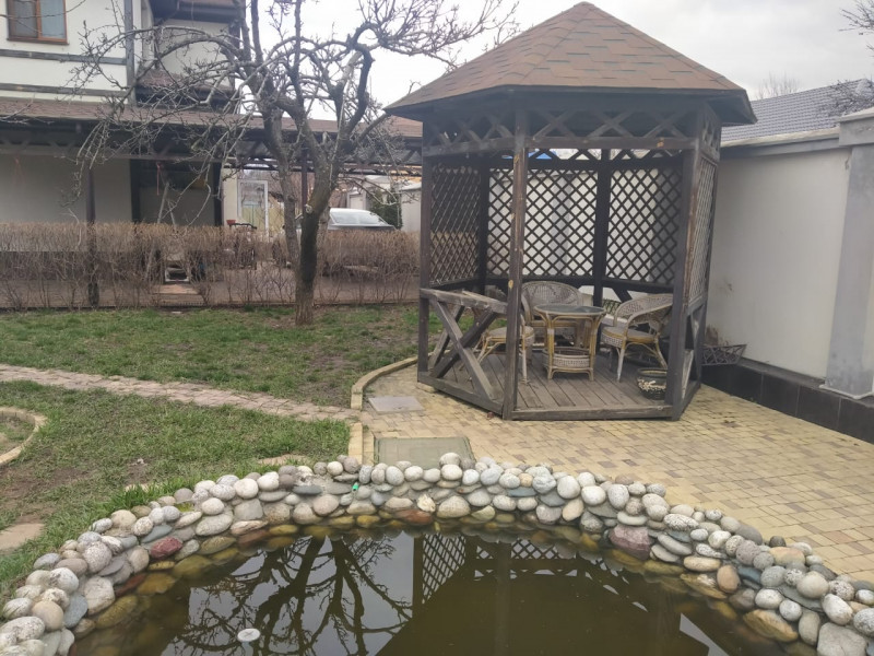Краснодарский край, Краснодар, абрикосовая